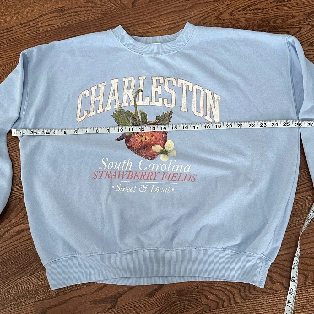 Altar'd State Light Blue Charleston Strawberry Crewneck Sweatshirt - Picture 5 of 7